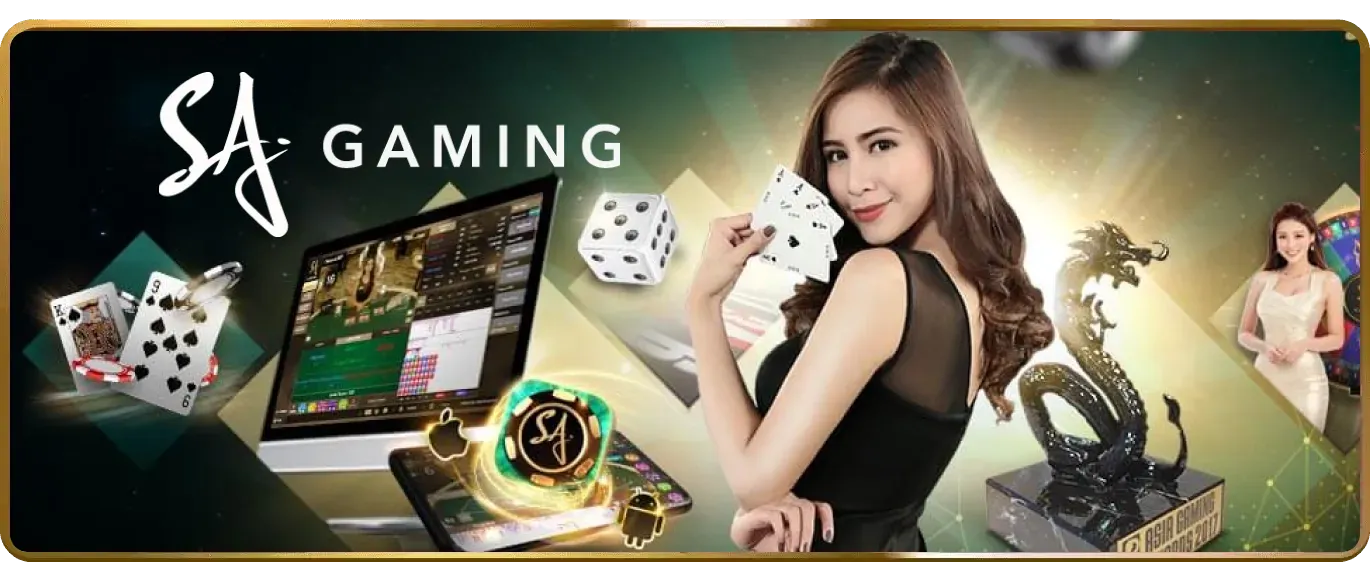 Hoàn trả cược đá gà hàng ngày/tuần